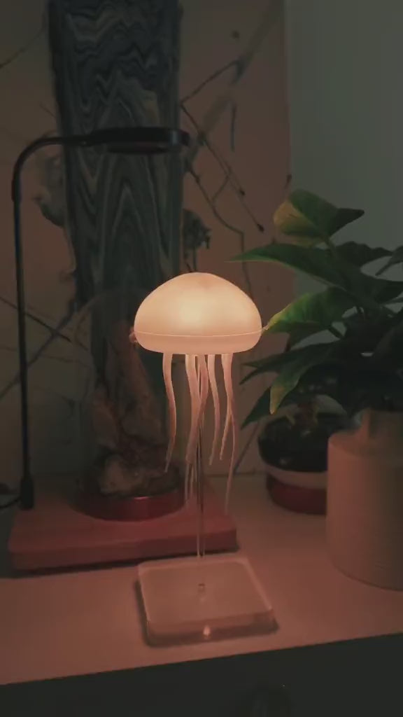 Aurora - Jellyfish Lamp